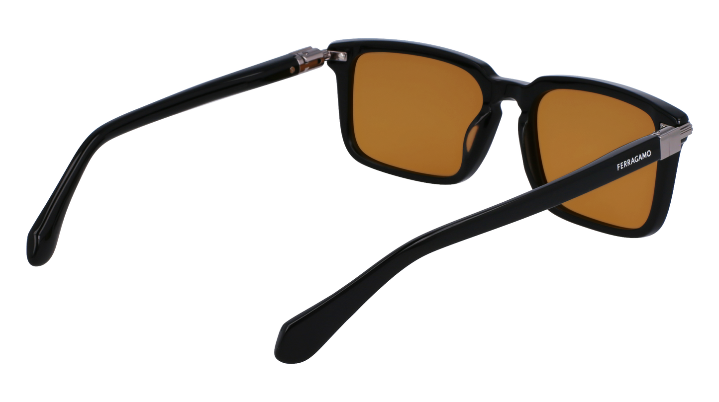 FERRAGAMO Sunglasses SF1110S 9 56