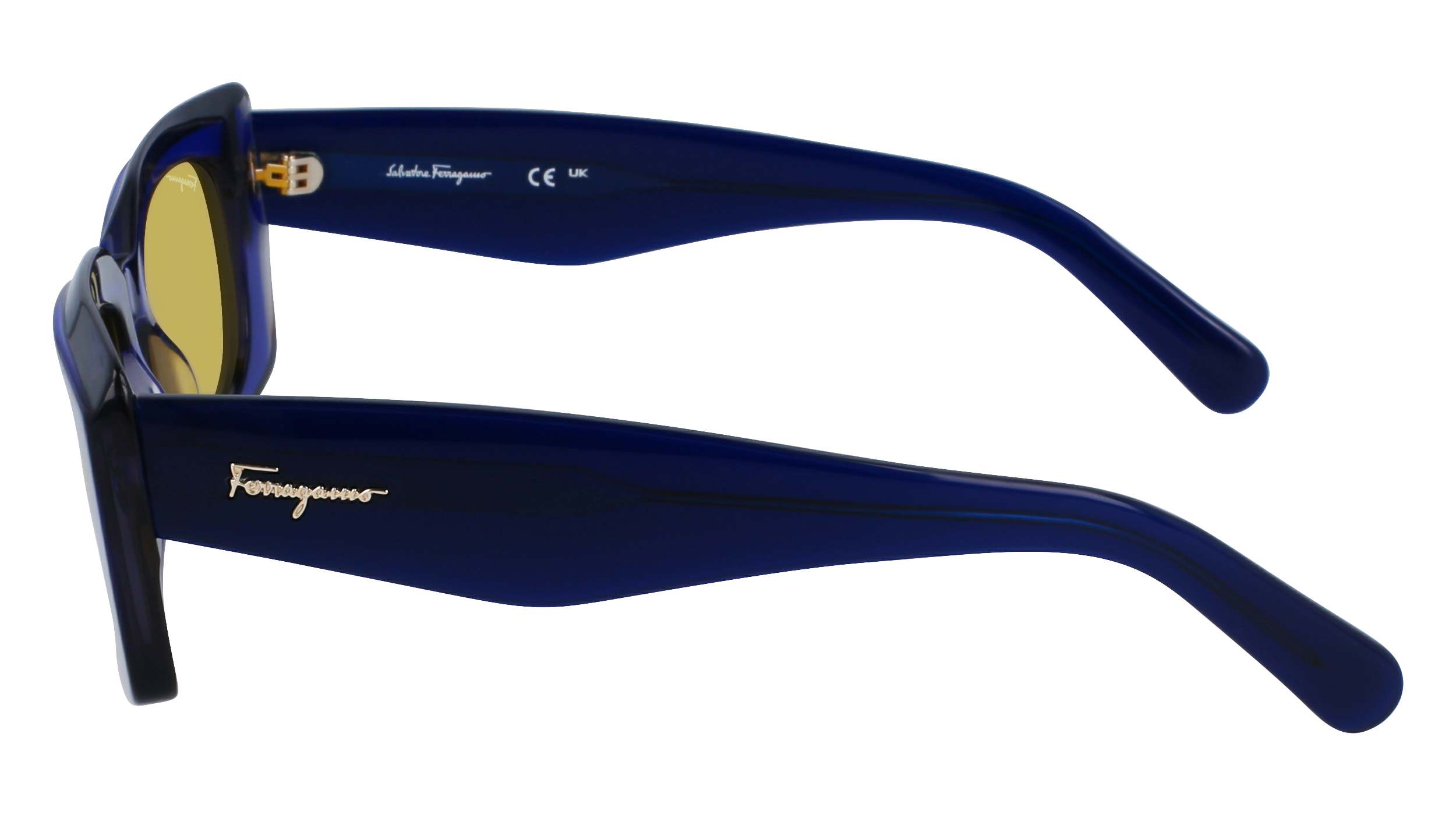 FERRAGAMO Sunglasses SF1079S 435 54