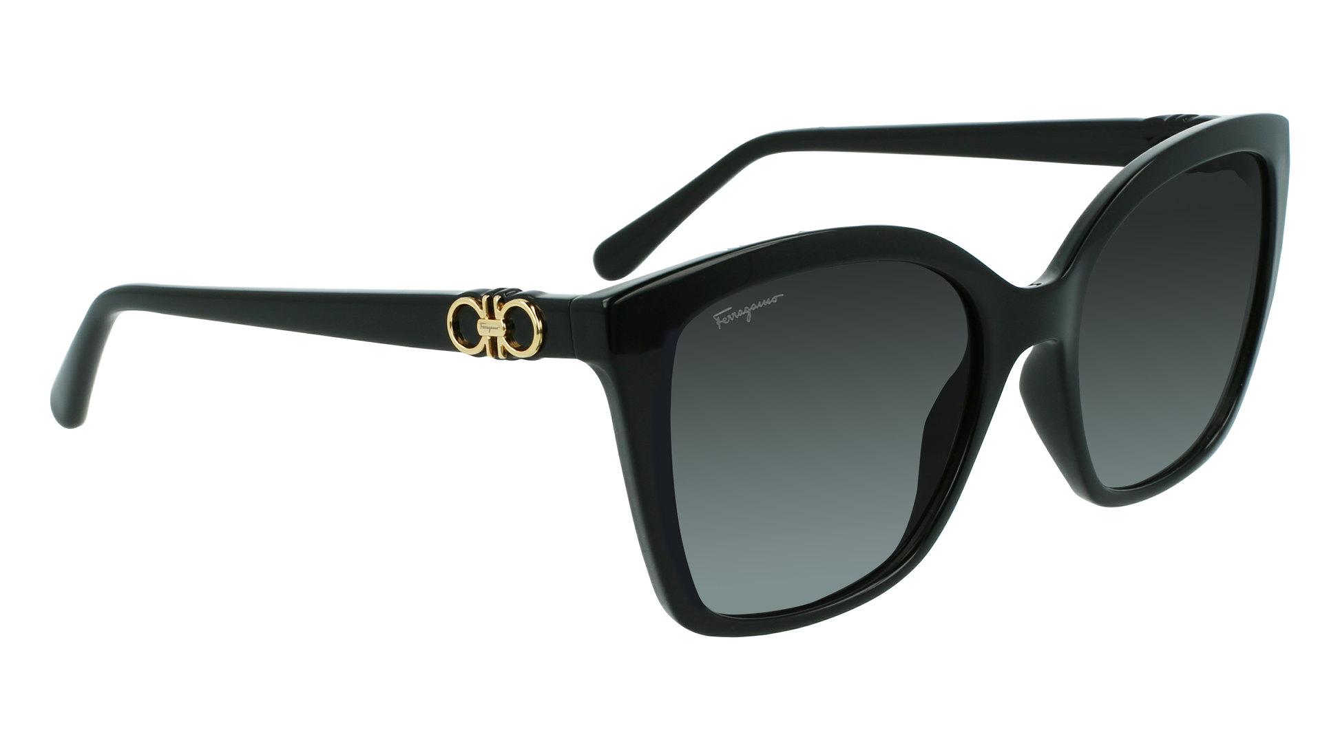 FERRAGAMO Sunglasses SF1026S 1 54