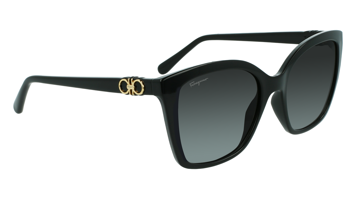 FERRAGAMO Sunglasses SF1026S 1 54