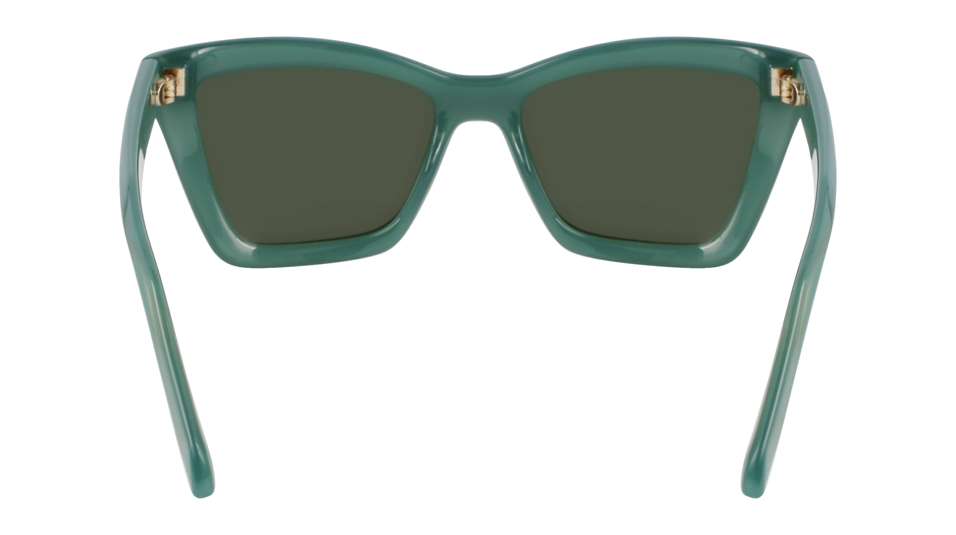 FERRAGAMO Sunglasses SF2039SE 339 53