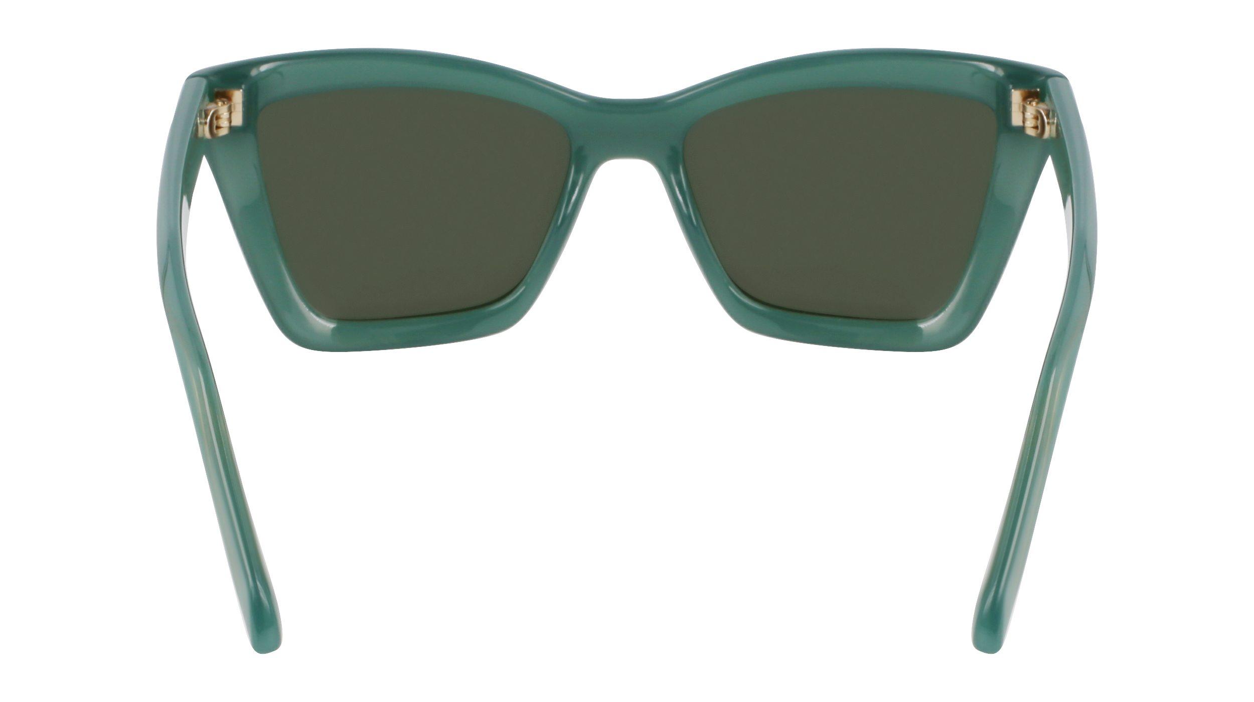 FERRAGAMO Sunglasses SF2039SE 339 53