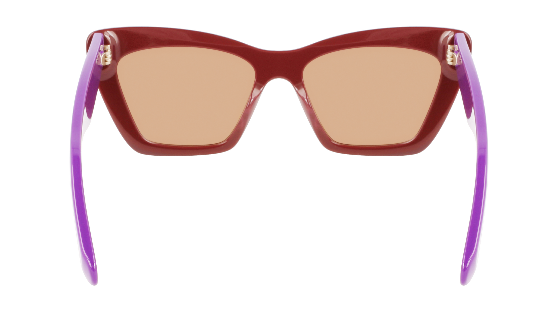 FERRAGAMO Sunglasses SF929S 209 55