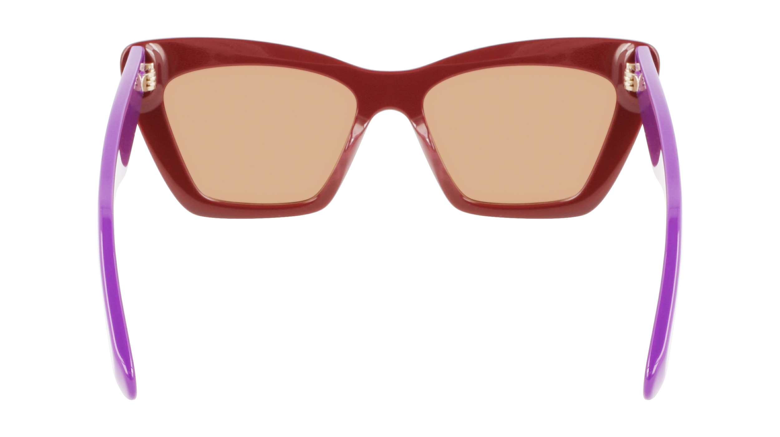 FERRAGAMO Sunglasses SF929S 209 55