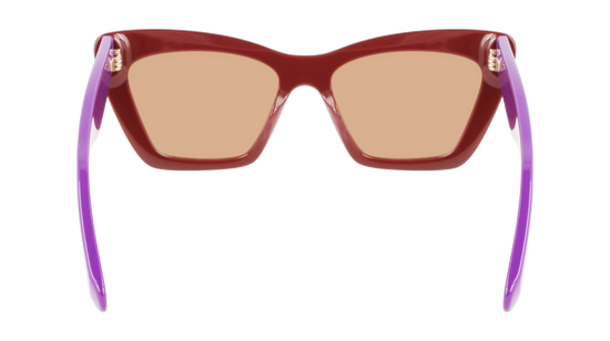 FERRAGAMO Sunglasses SF929S 209 55