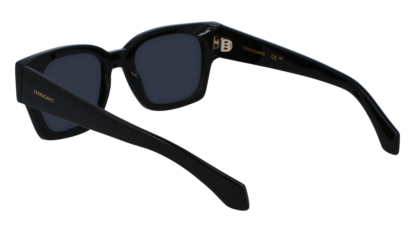 FERRAGAMO Sunglasses SF2010S 1 52