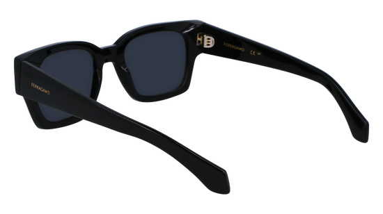 FERRAGAMO Sunglasses SF2010S 1 52