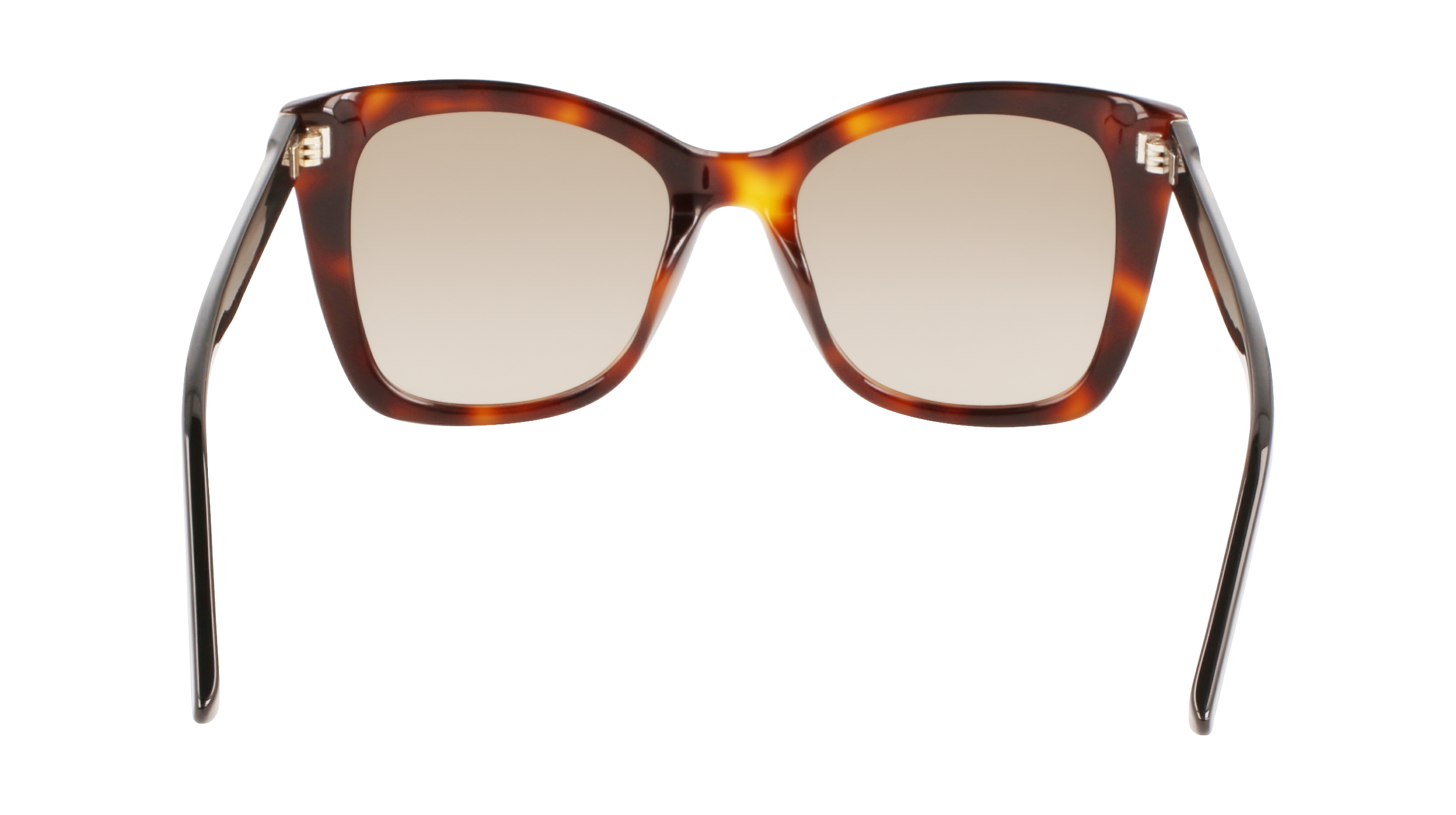 CALVIN KLEIN Sunglasses CK22530S 220 53