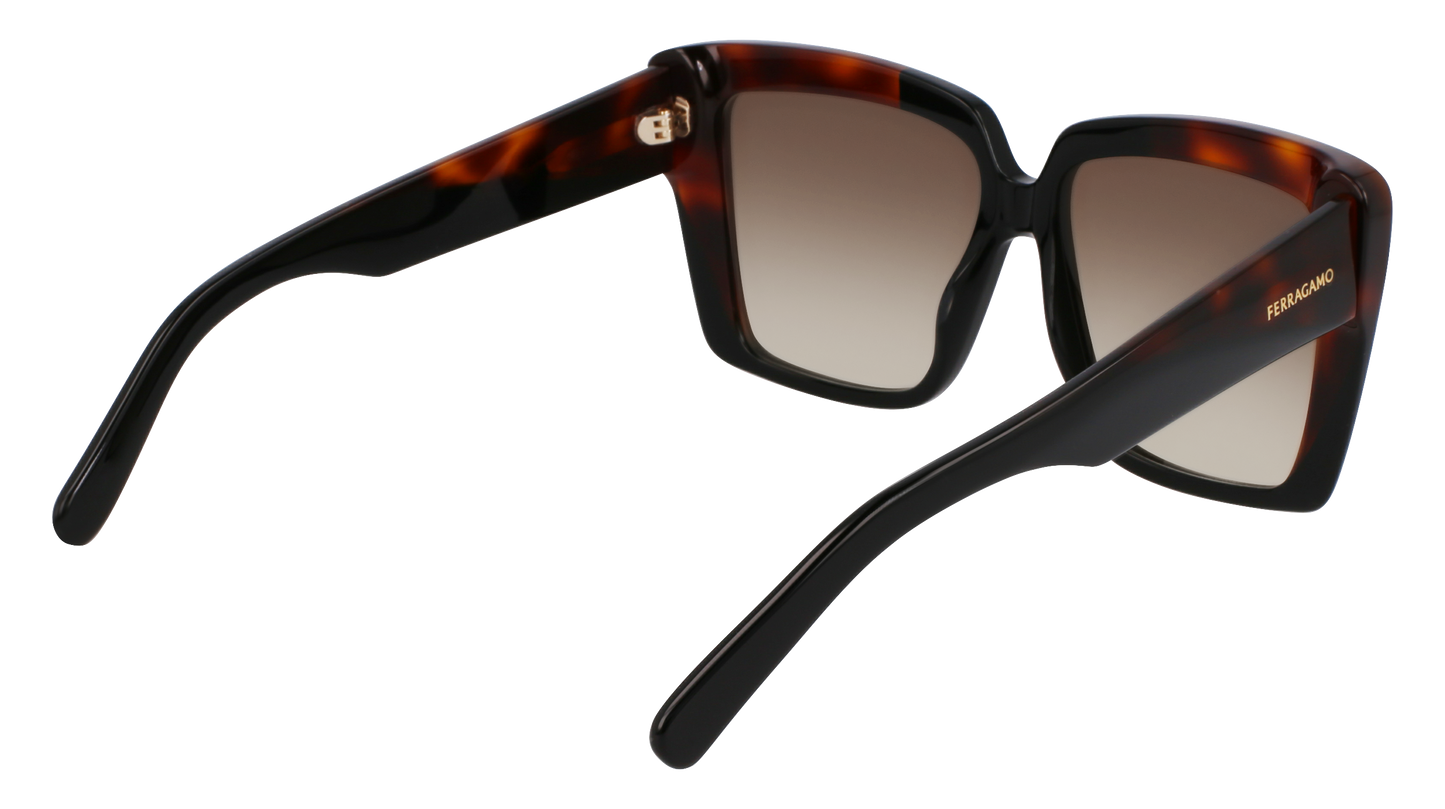 FERRAGAMO Sunglasses SF1060SN 6 55