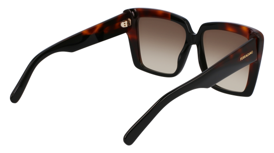 FERRAGAMO Sunglasses SF1060SN 6 55