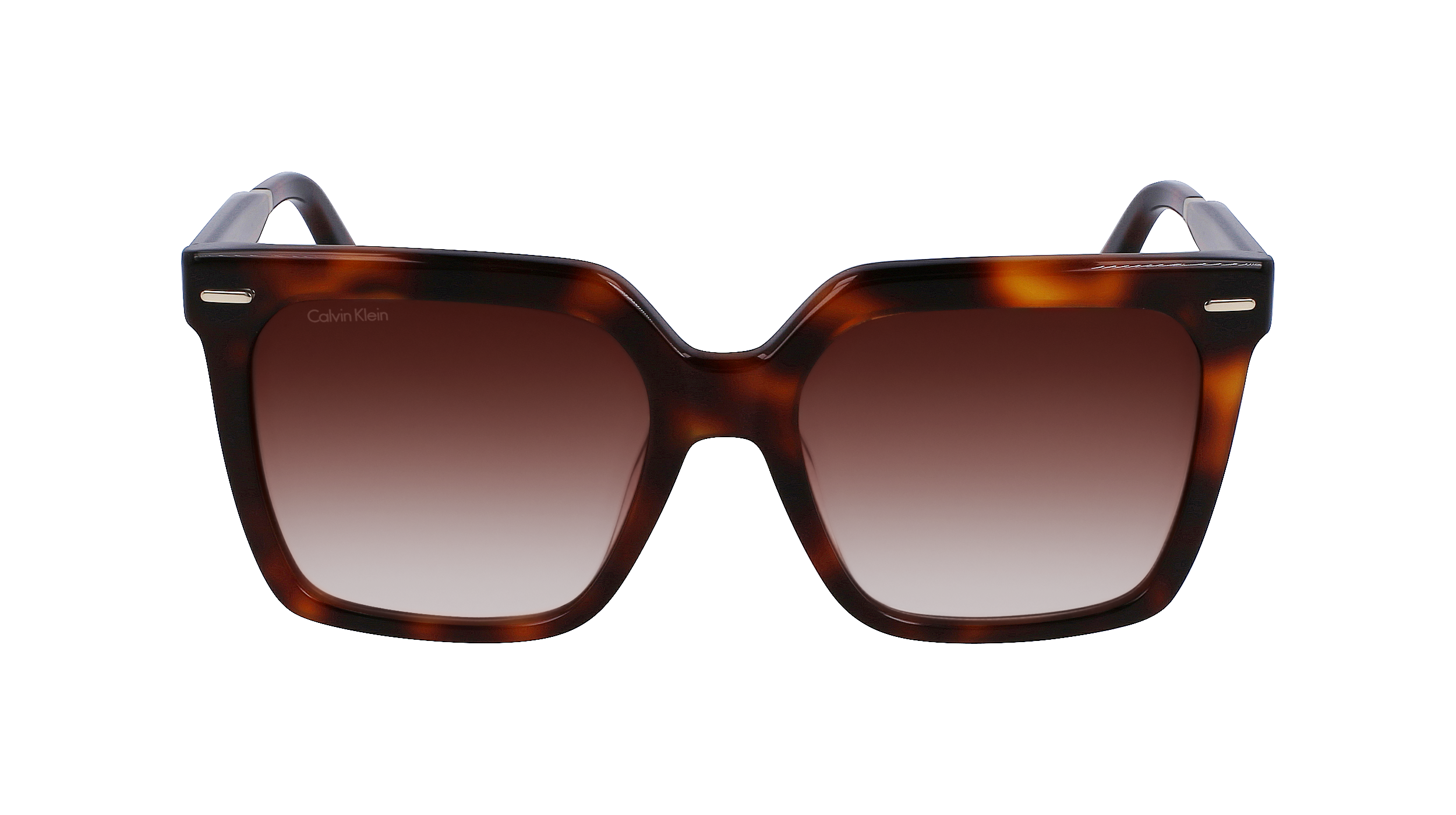 CALVIN KLEIN Sunglasses CK22534S 220 55