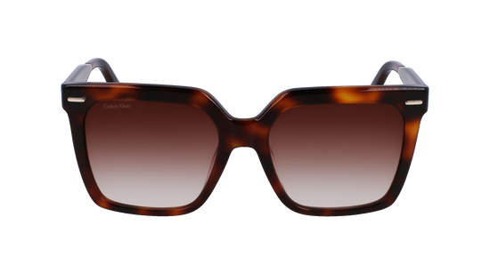 CALVIN KLEIN Sunglasses CK22534S 220 55