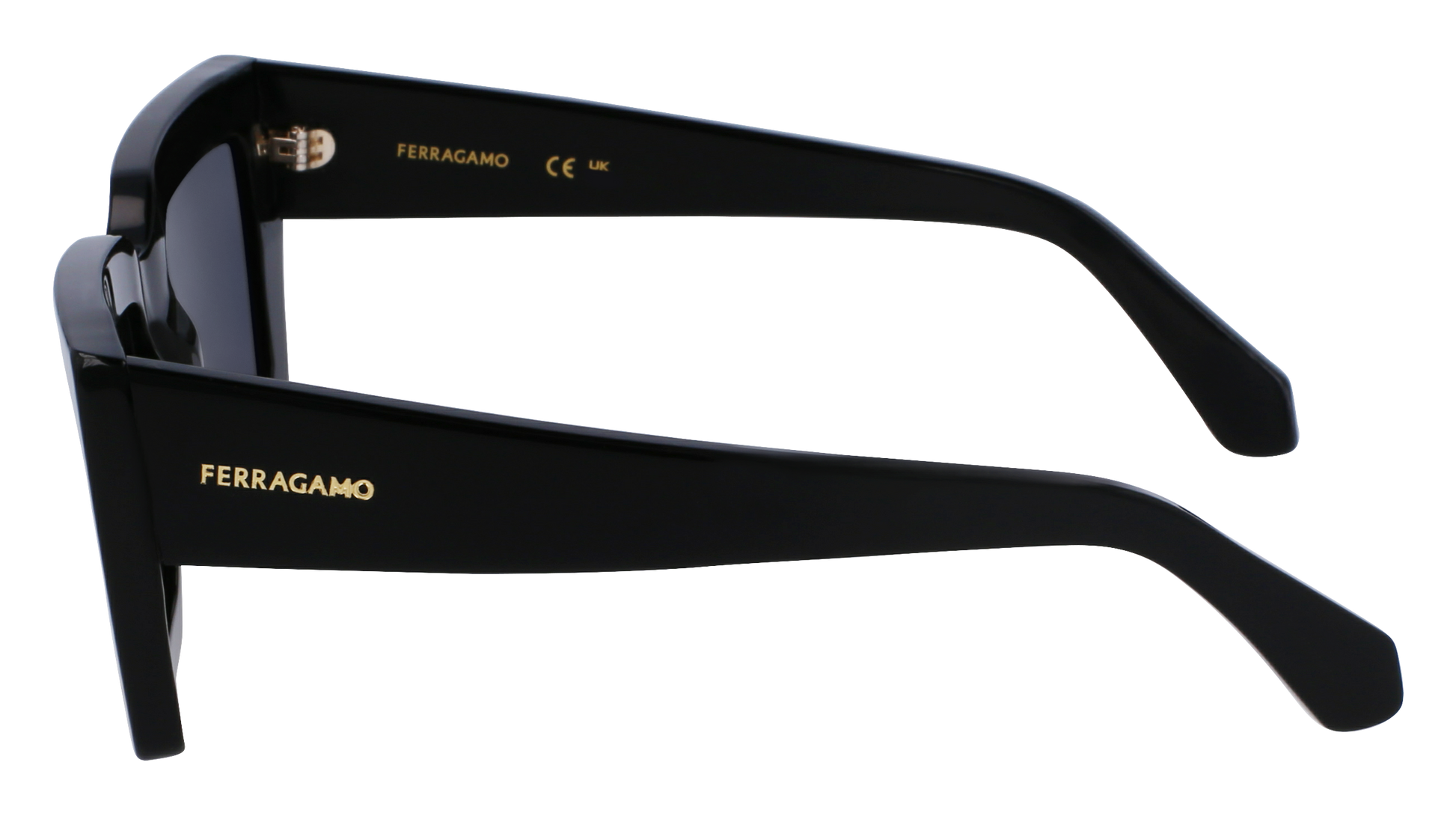 FERRAGAMO Sunglasses SF1108S 1 54