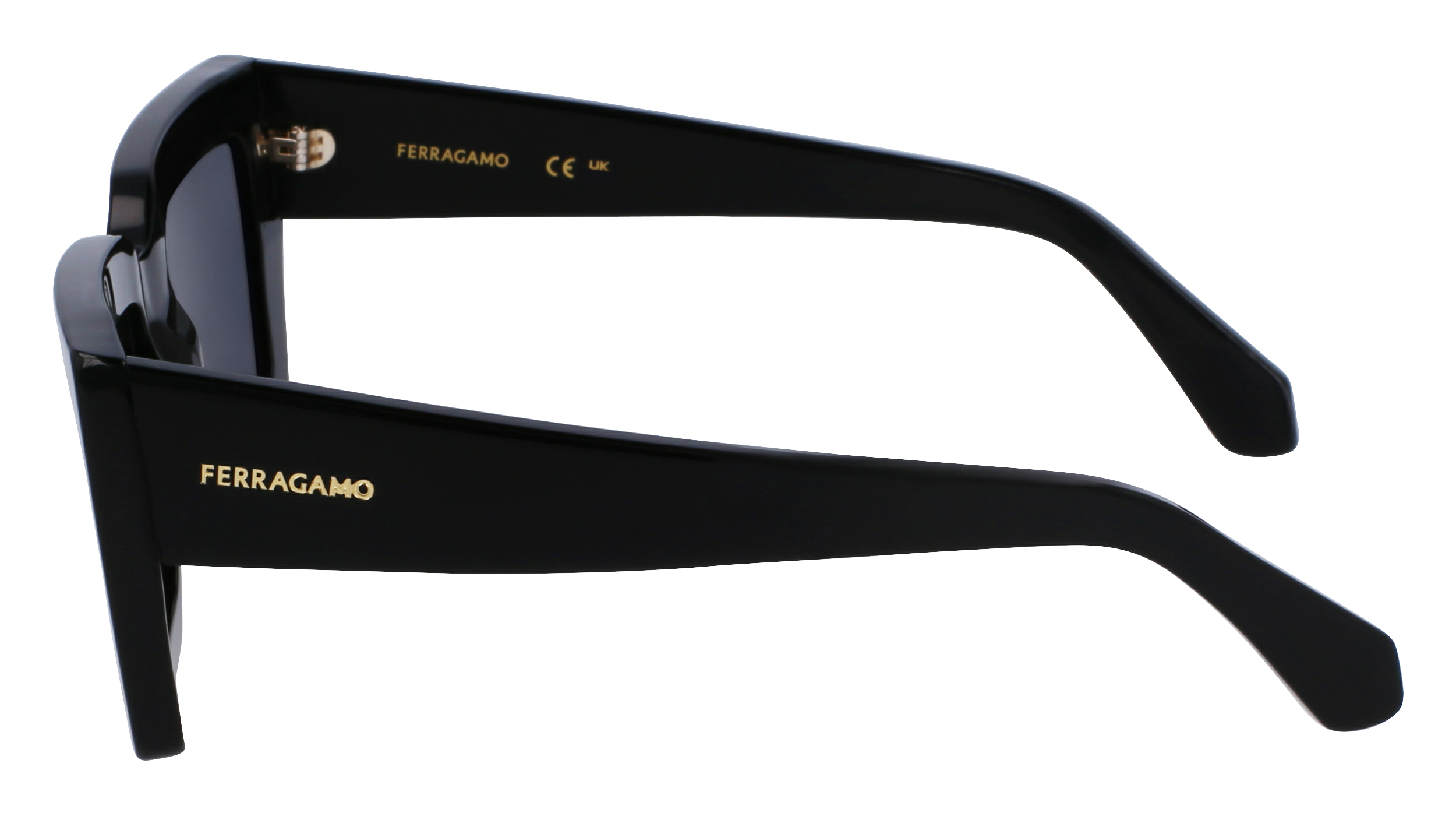 FERRAGAMO Sunglasses SF1108S 1 54