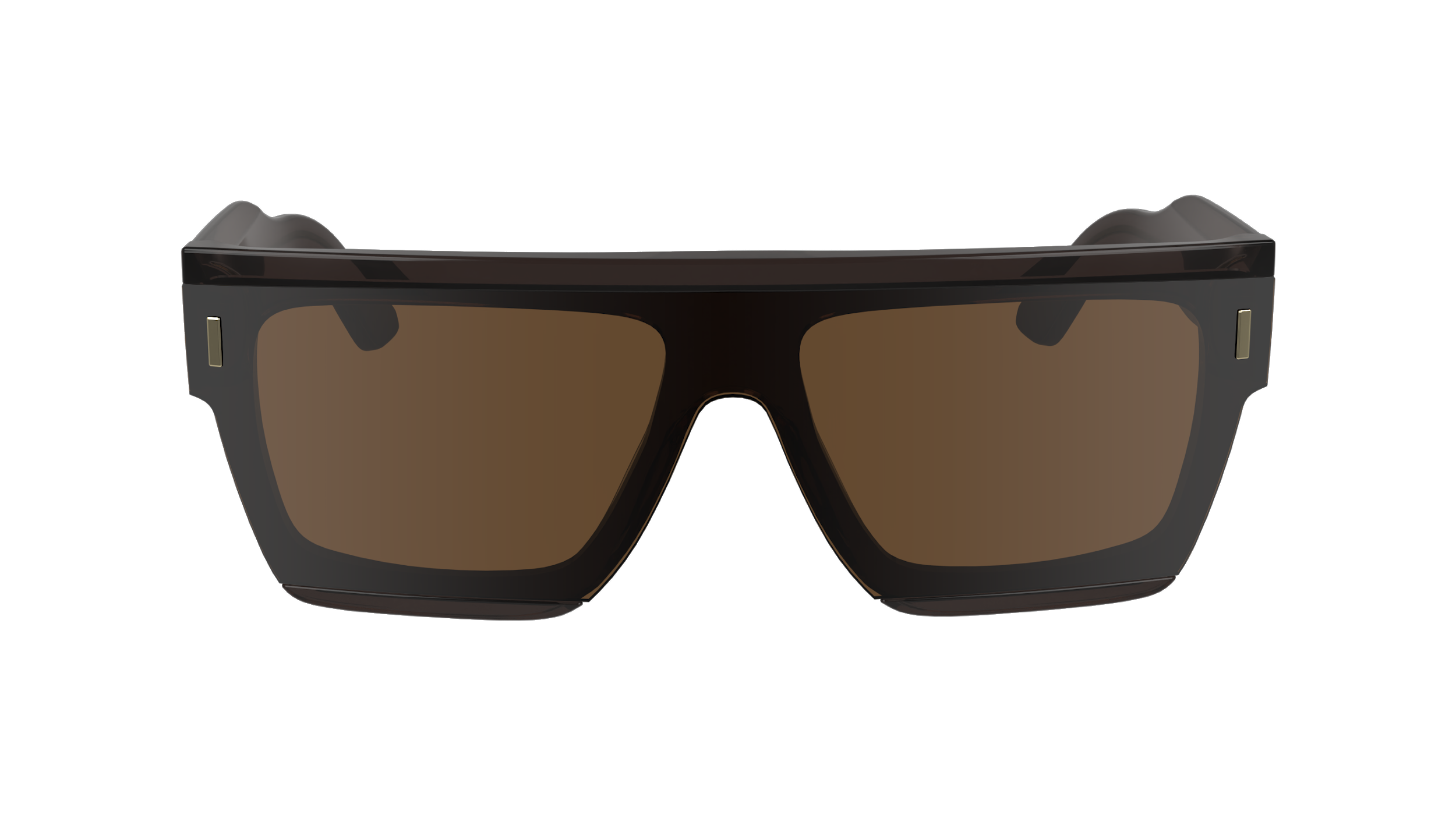 CALVIN KLEIN Sunglasses CK24502S 260 55