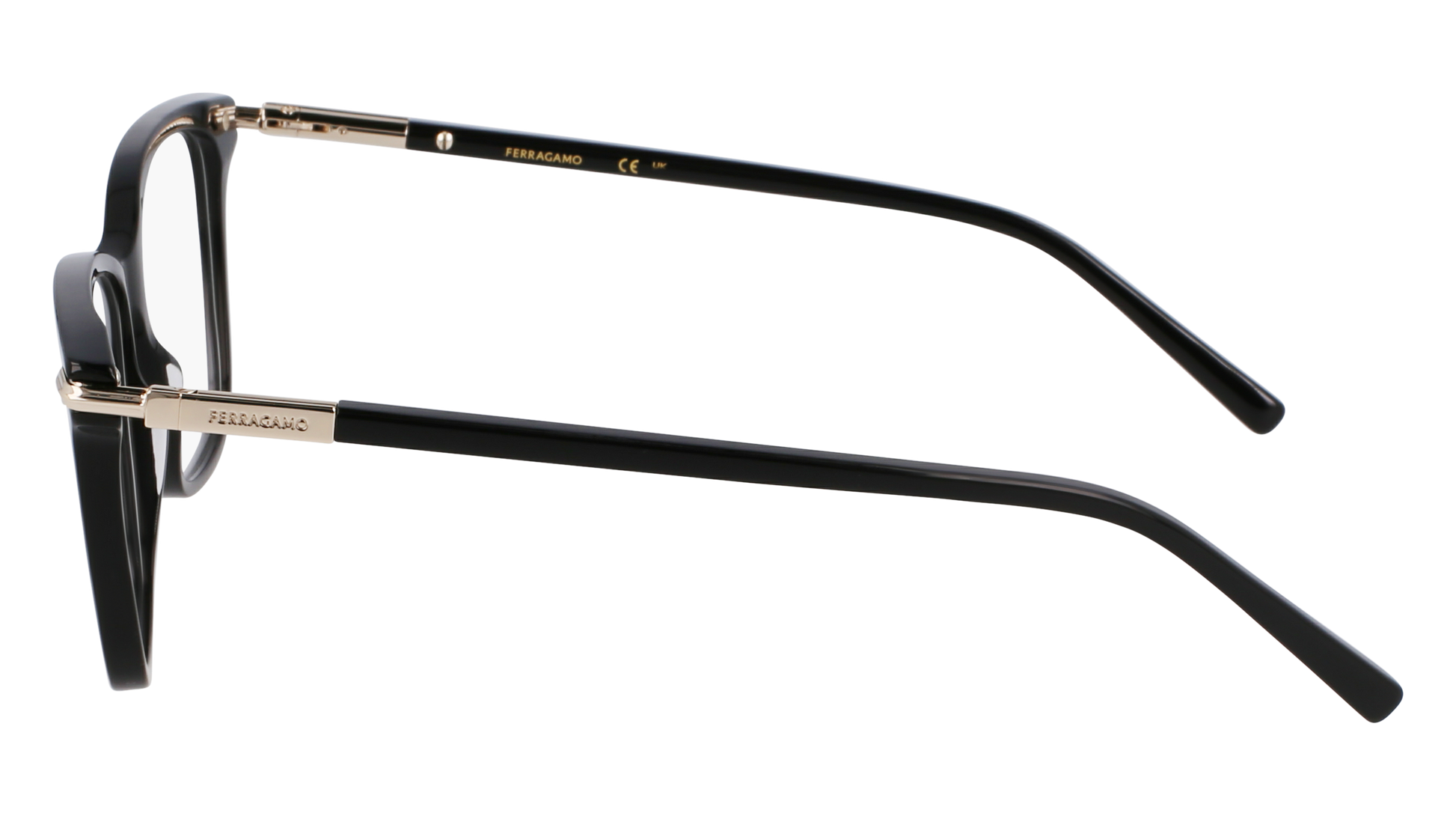 FERRAGAMO Eyeglasses SF3013 1 53