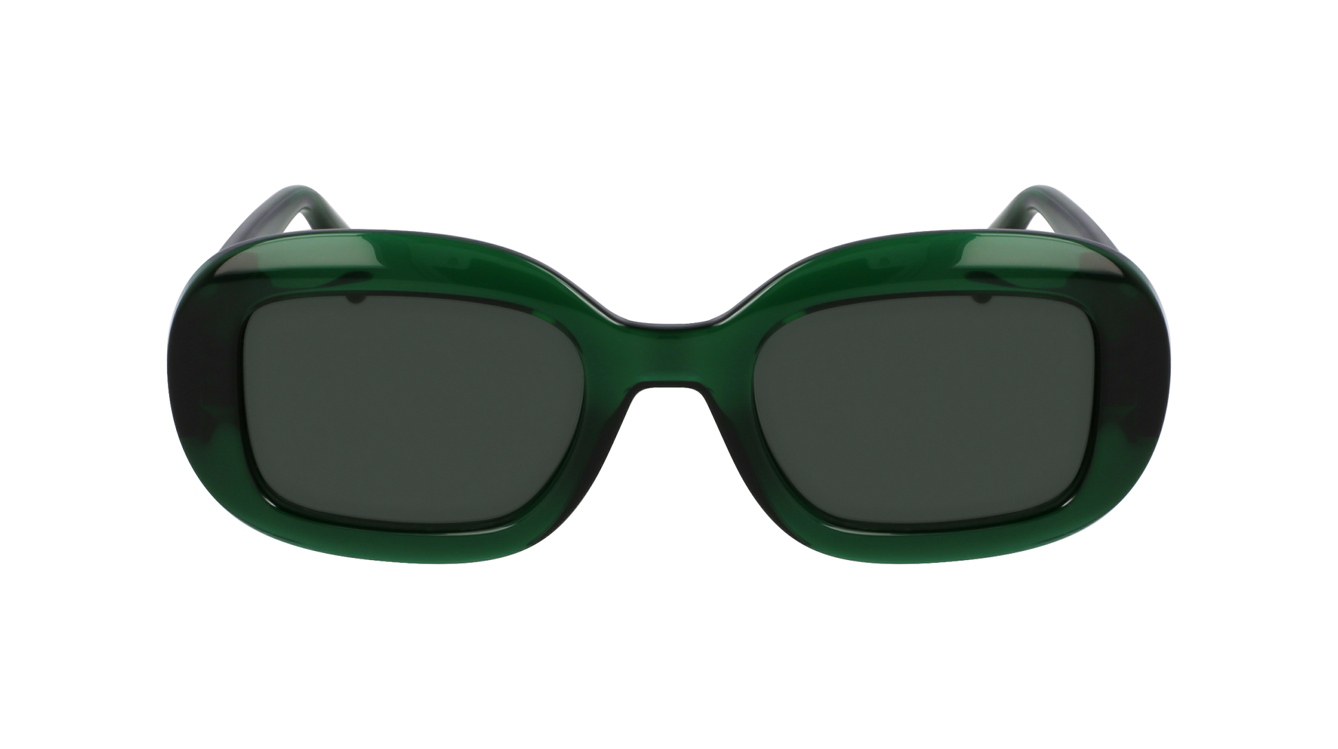 FERRAGAMO Sunglasses SF2038SE 317 51