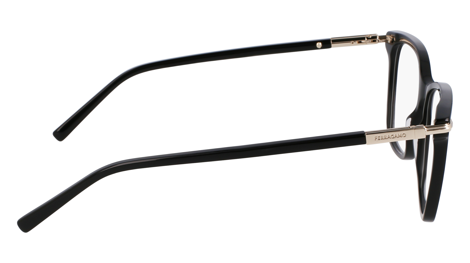 FERRAGAMO Eyeglasses SF3013 1 53