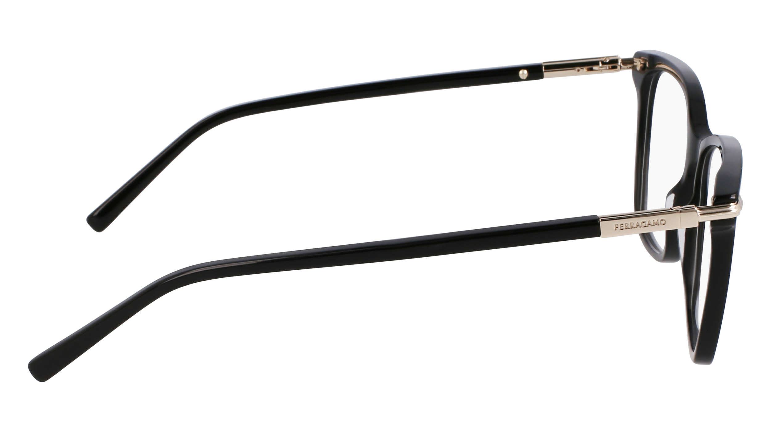 FERRAGAMO Eyeglasses SF3013 1 53