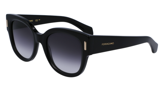 FERRAGAMO Sunglasses SF2007S 1 51