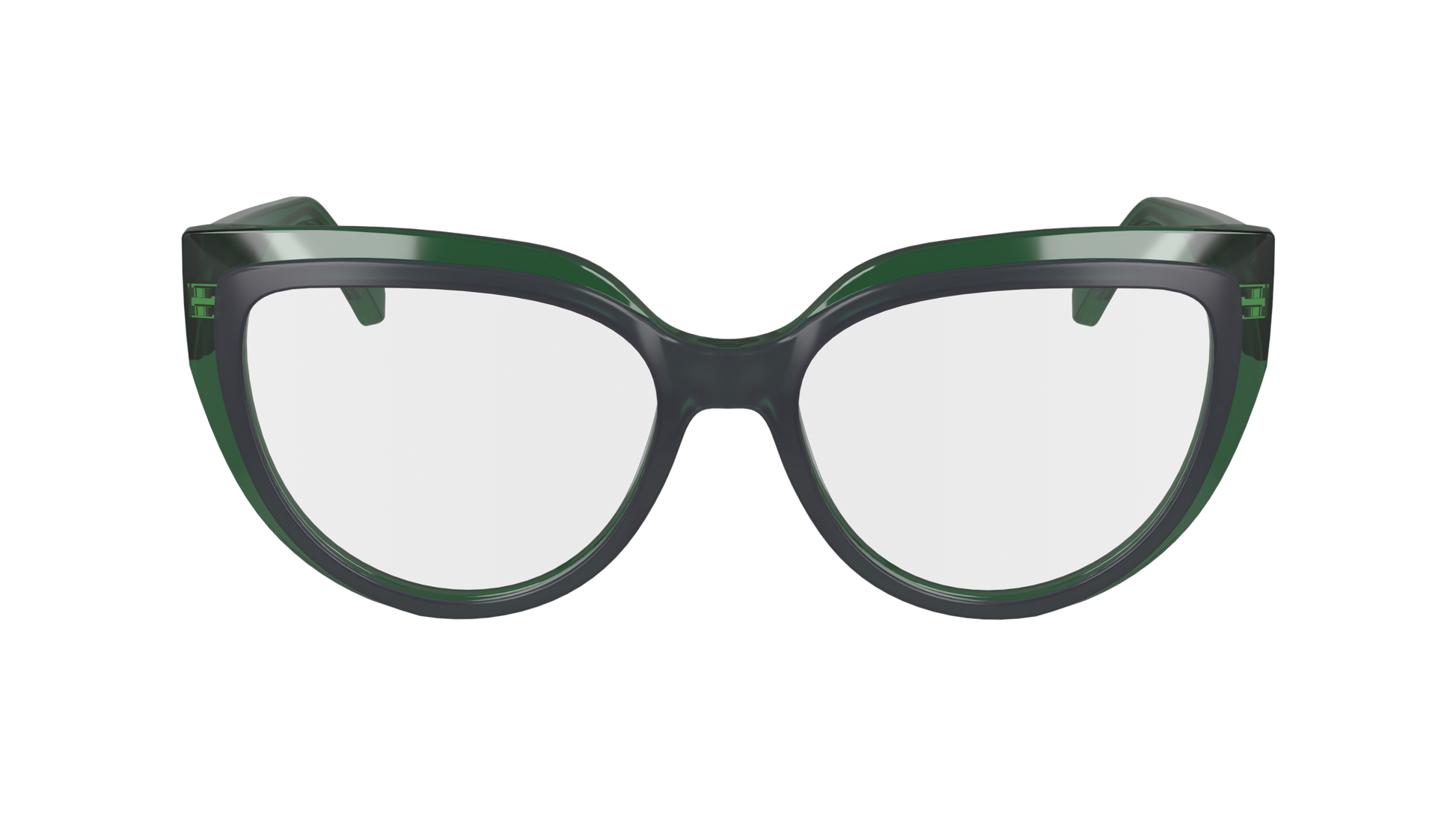 FERRAGAMO Eyeglasses SF2984 318 53