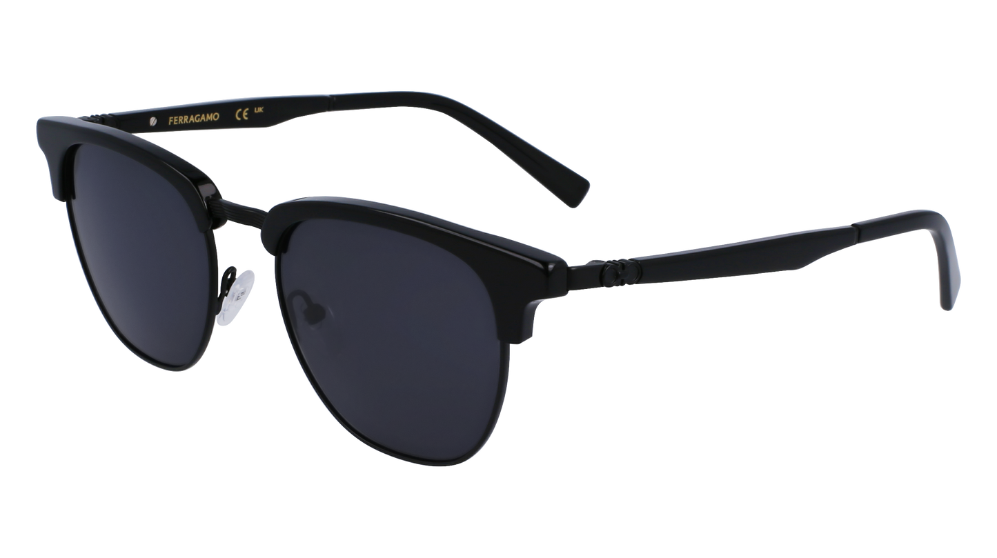 FERRAGAMO Sunglasses SF307S 1 53