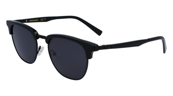 FERRAGAMO Sunglasses SF307S 1 53