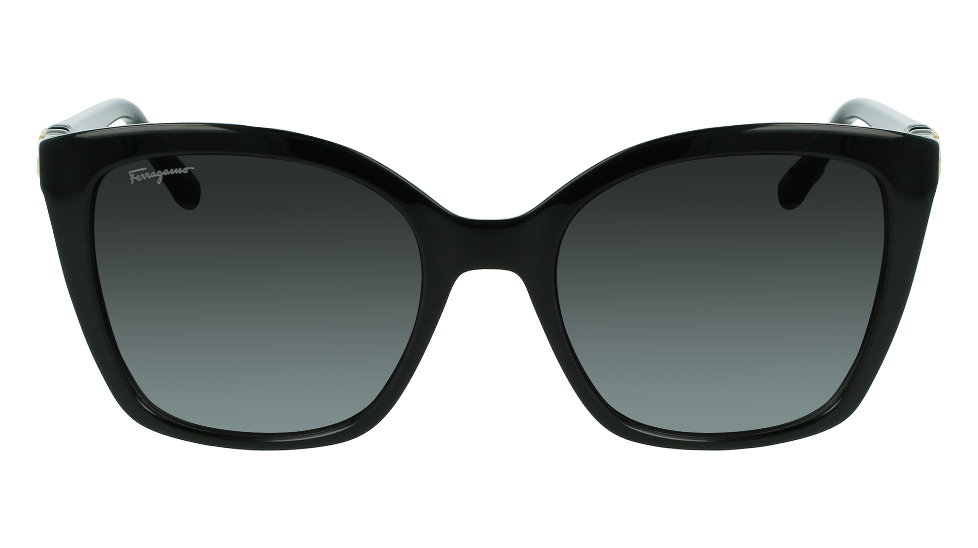 FERRAGAMO Sunglasses SF1026S 1 54