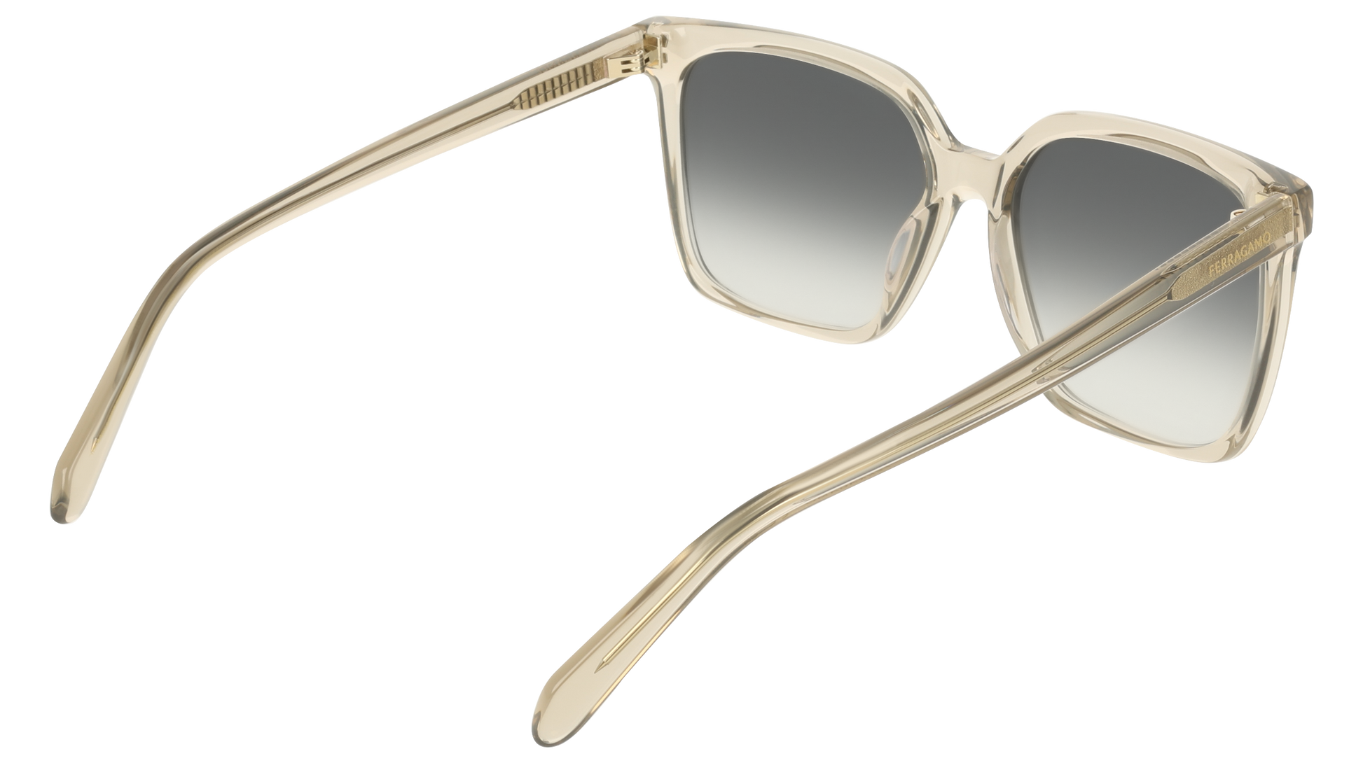 Ferragamo SF2102S 313