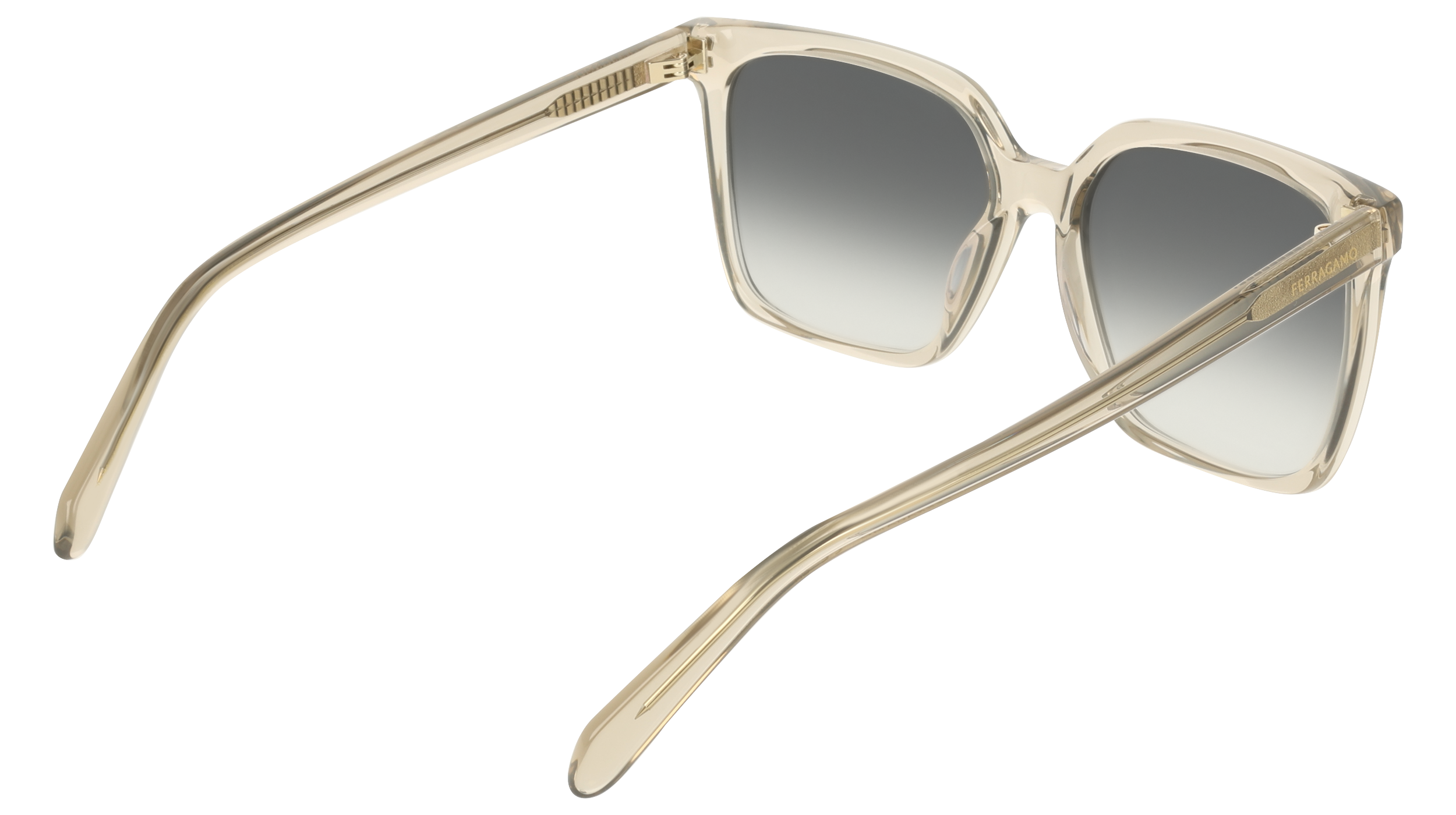Ferragamo SF2102S 313