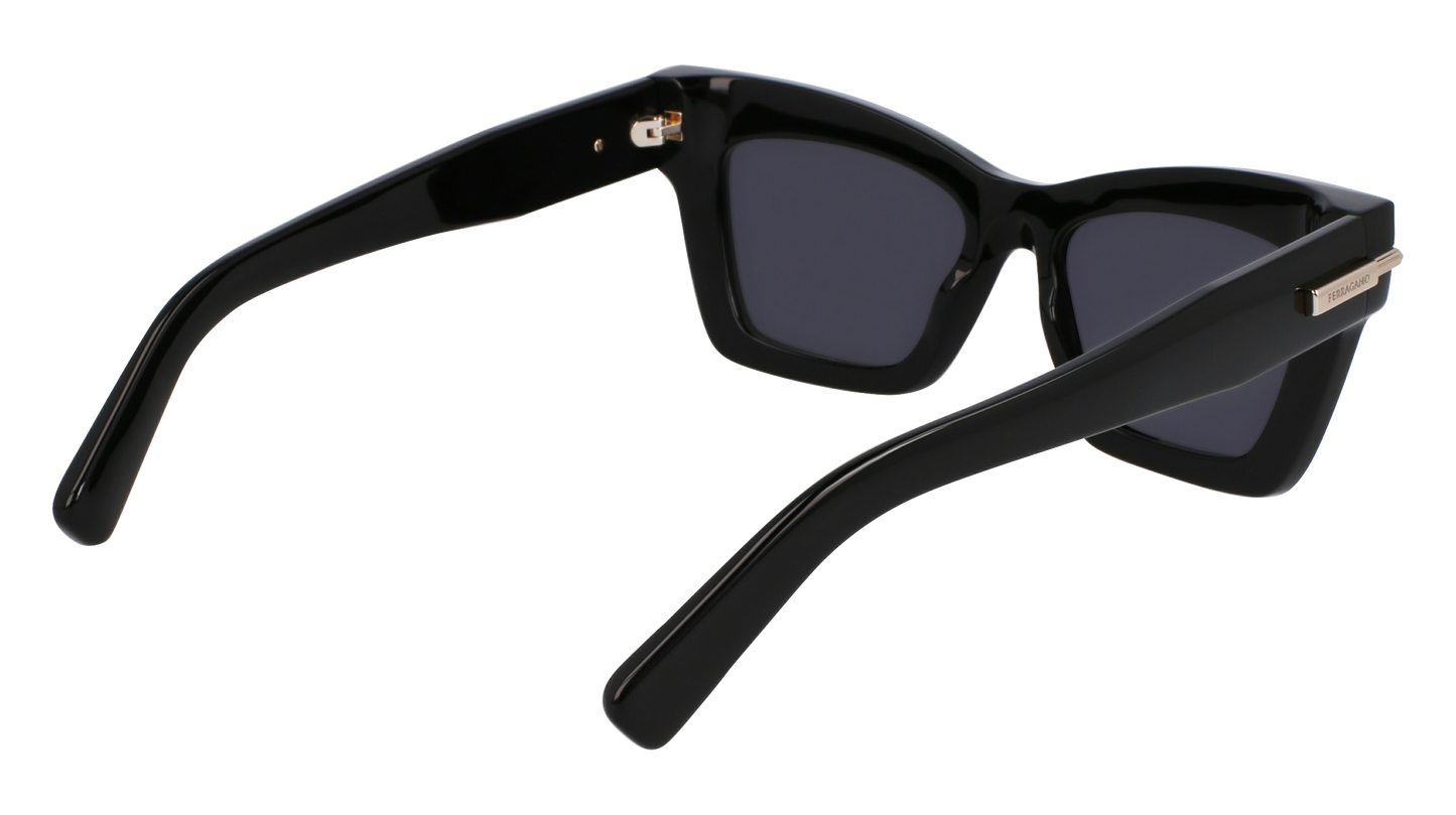 FERRAGAMO Sunglasses SF2031S 1 52