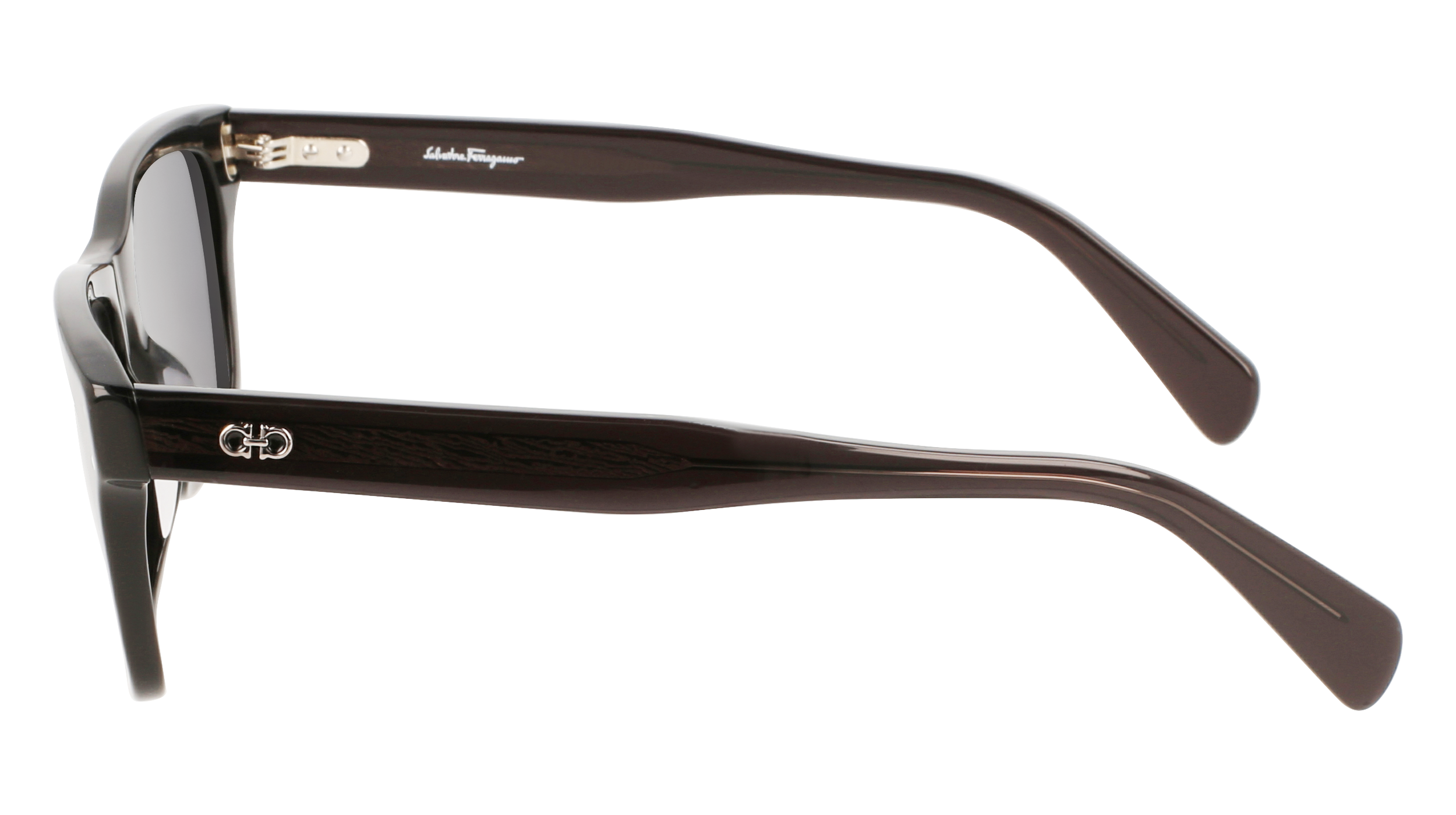 FERRAGAMO Sunglasses SF1039S 1 54