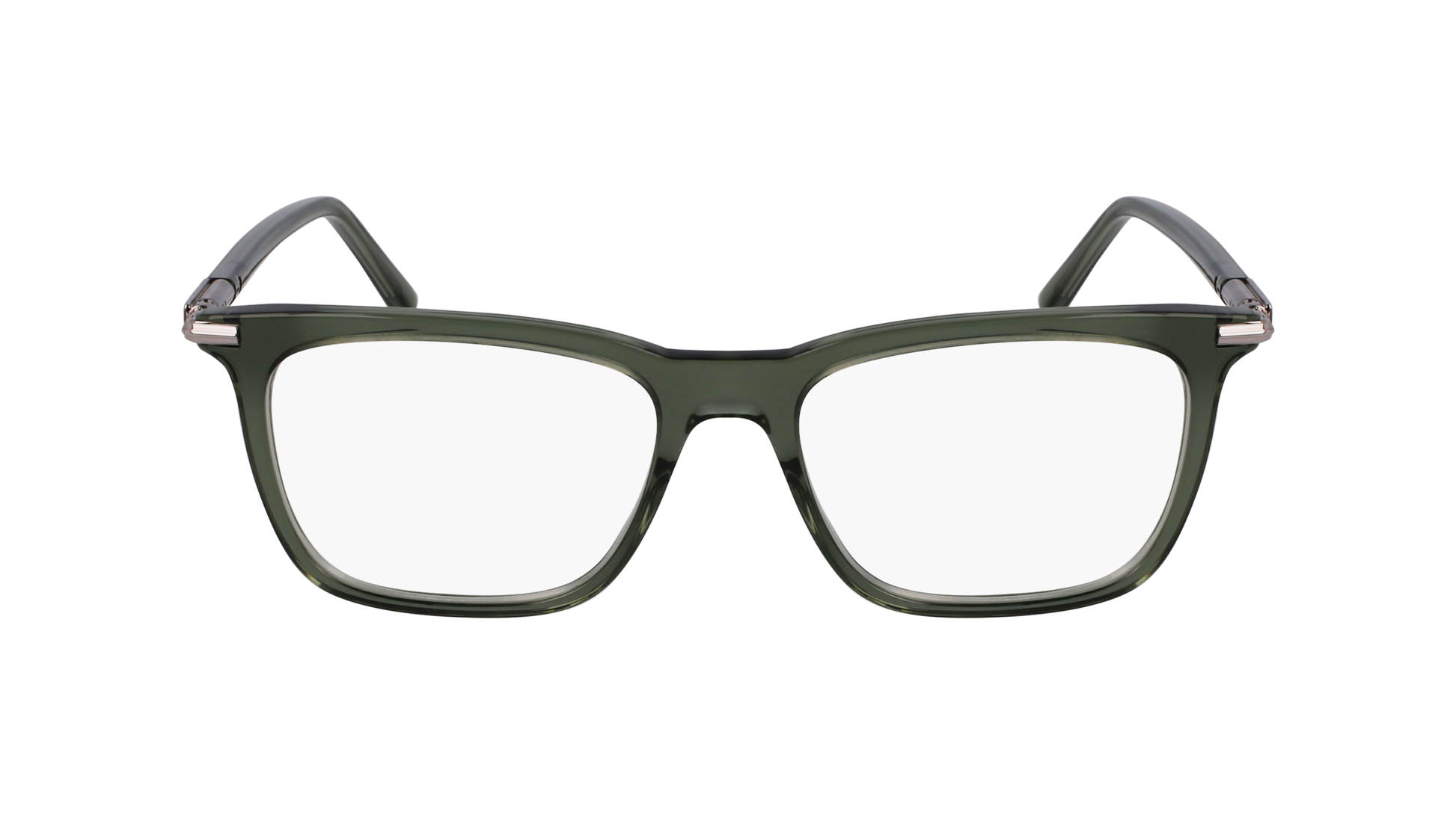 FERRAGAMO Eyeglasses SF3007 317 53