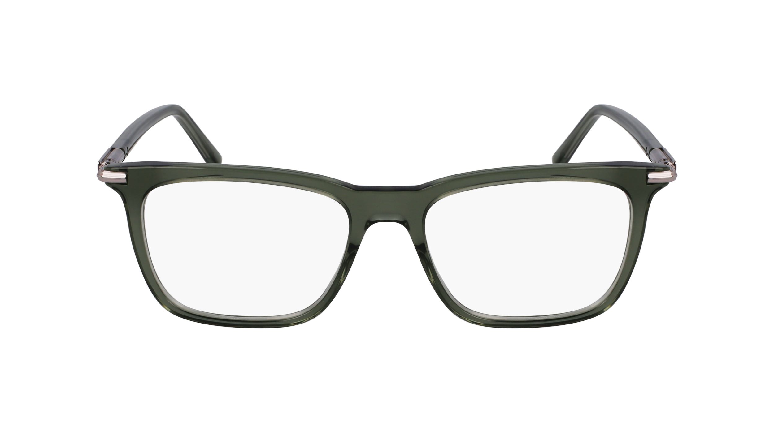 FERRAGAMO Eyeglasses SF3007 317 53