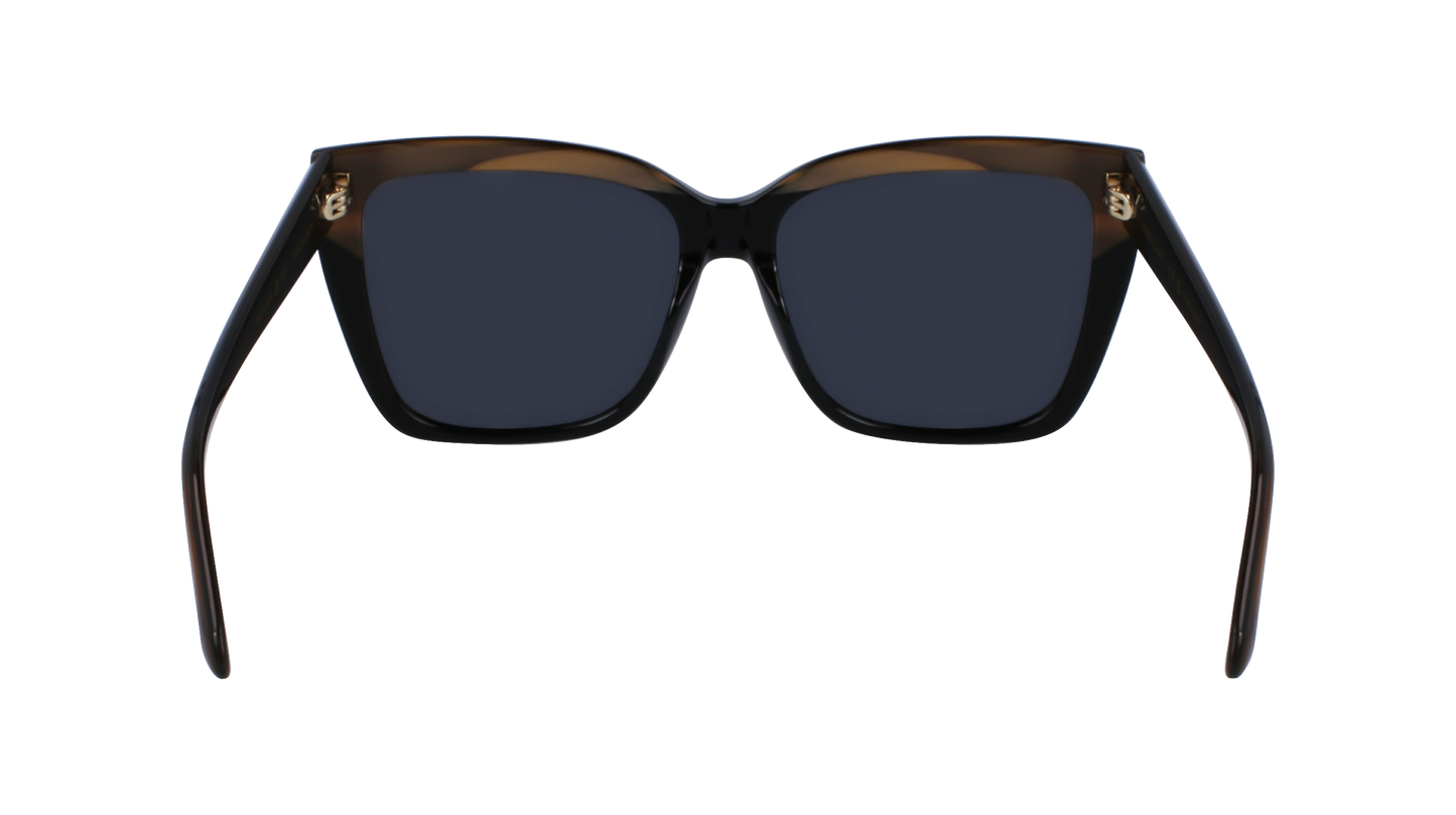 FERRAGAMO Sunglasses SF1102S 217 58