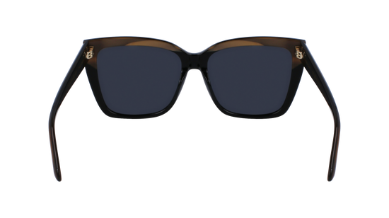 FERRAGAMO Sunglasses SF1102S 217 58