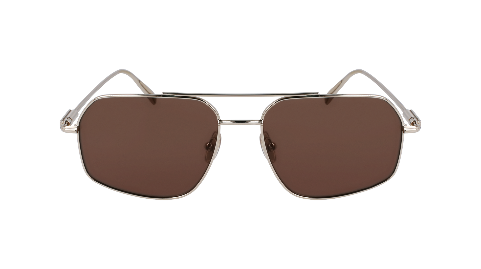 FERRAGAMO Sunglasses SF313S 745 58