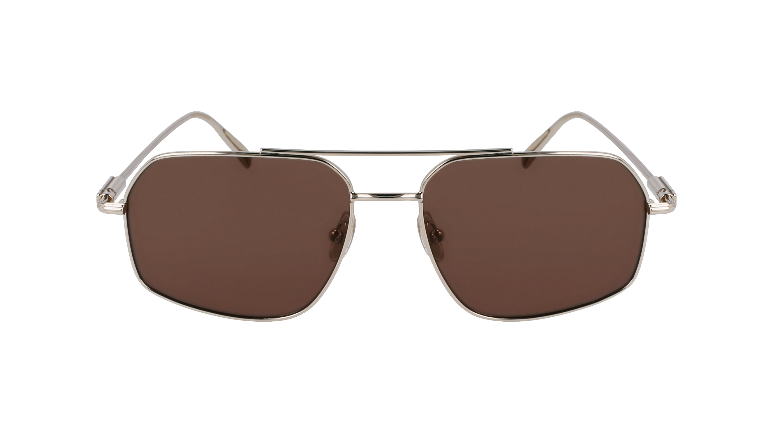 FERRAGAMO Sunglasses SF313S 745 58