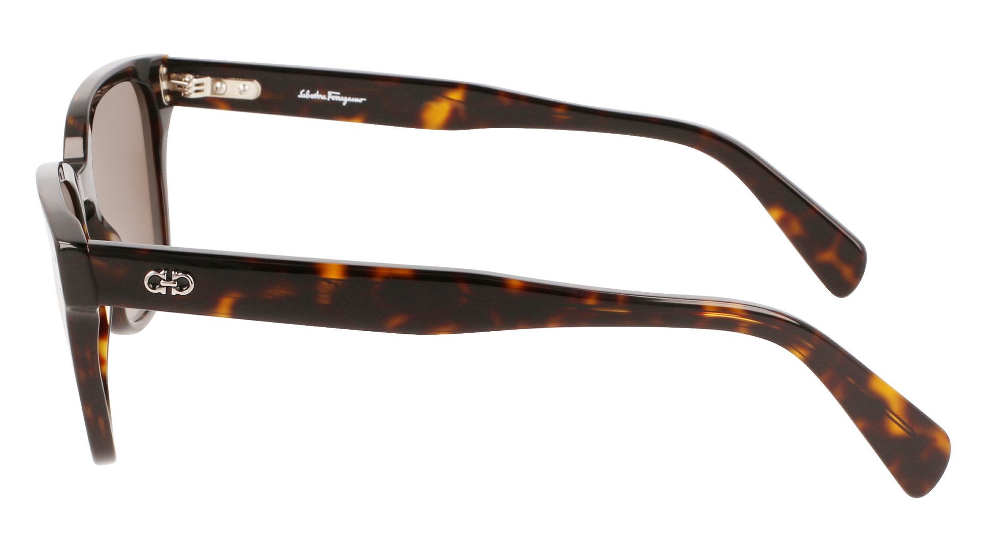 FERRAGAMO Sunglasses SF1040S 240 55