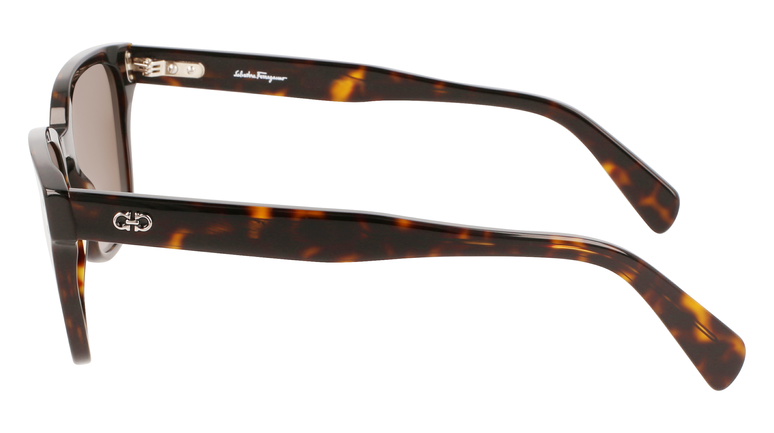 FERRAGAMO Sunglasses SF1040S 240 55