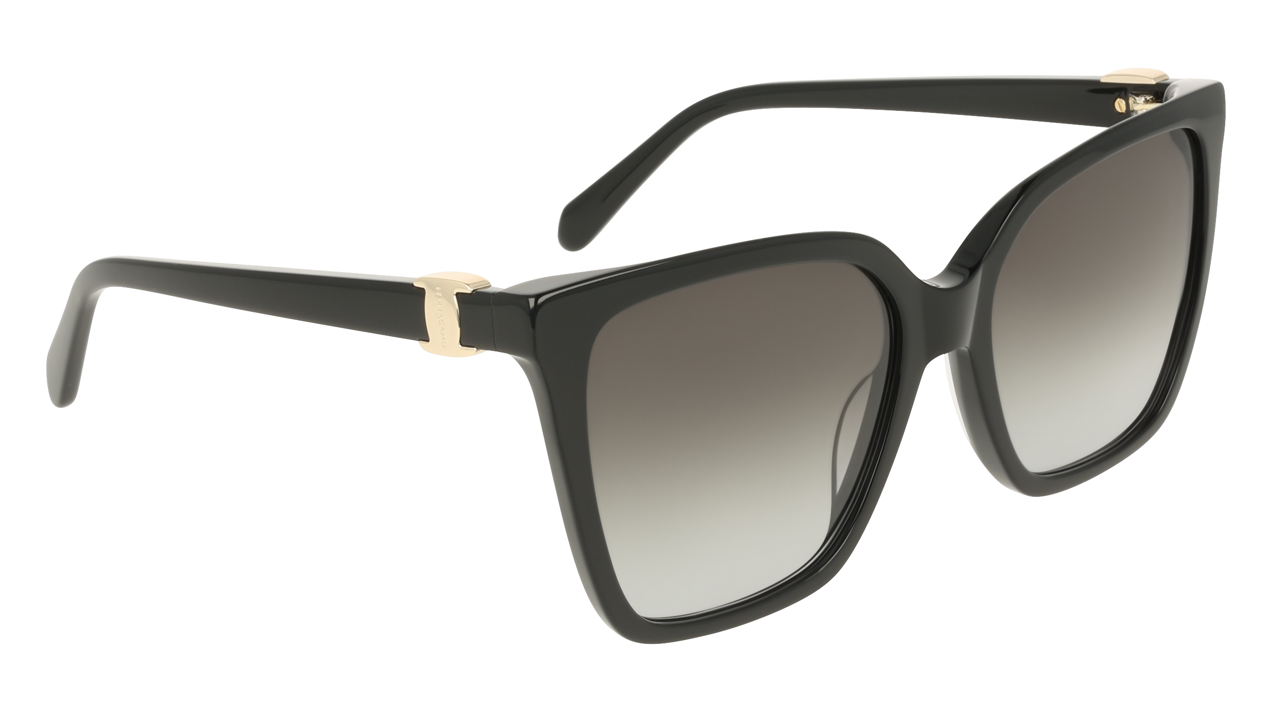 Ferragamo SF2121S 1