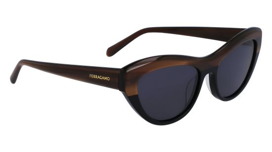 FERRAGAMO Sunglasses SF1103S 217 55