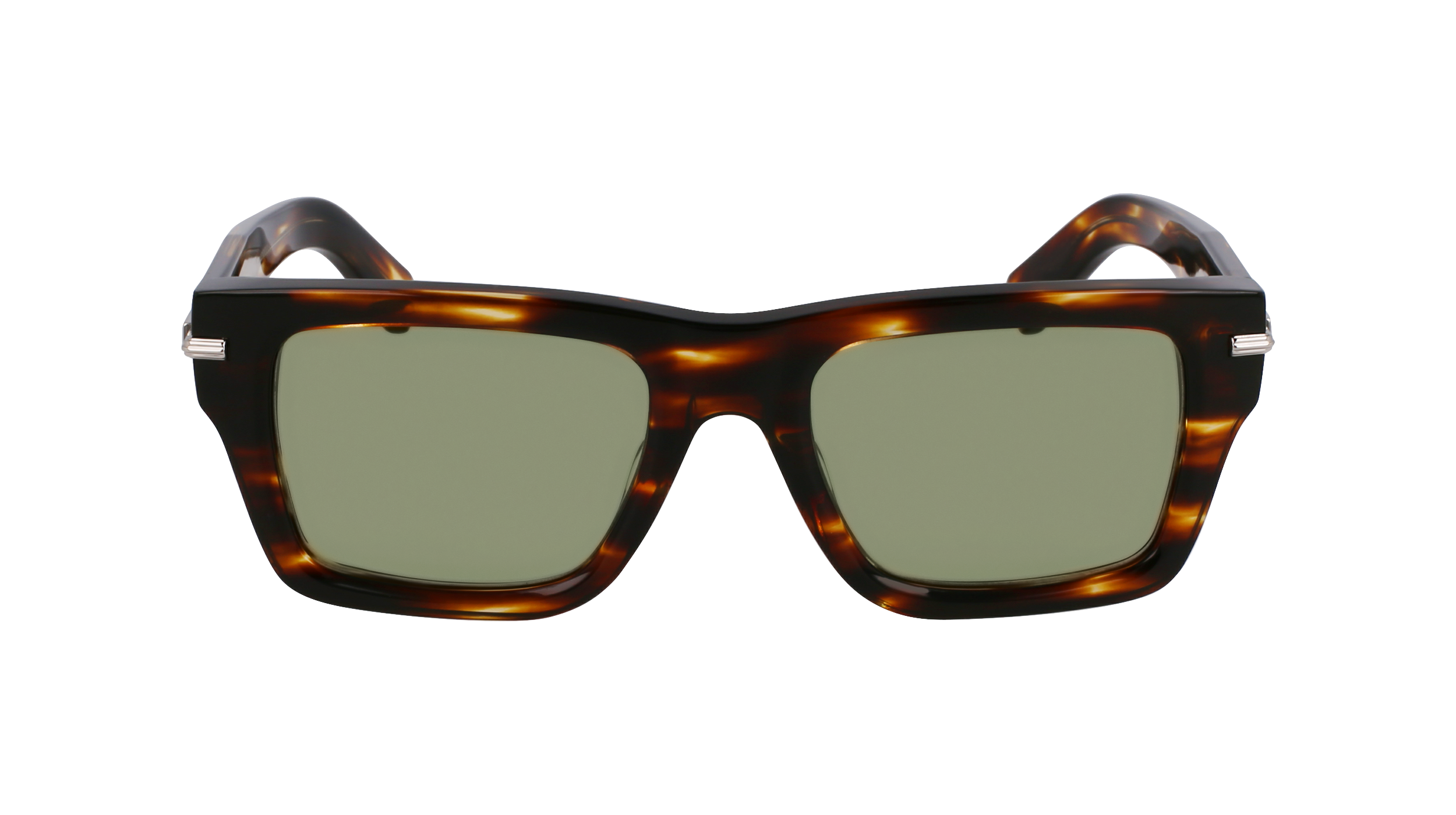 FERRAGAMO Sunglasses SF2033S 216 53