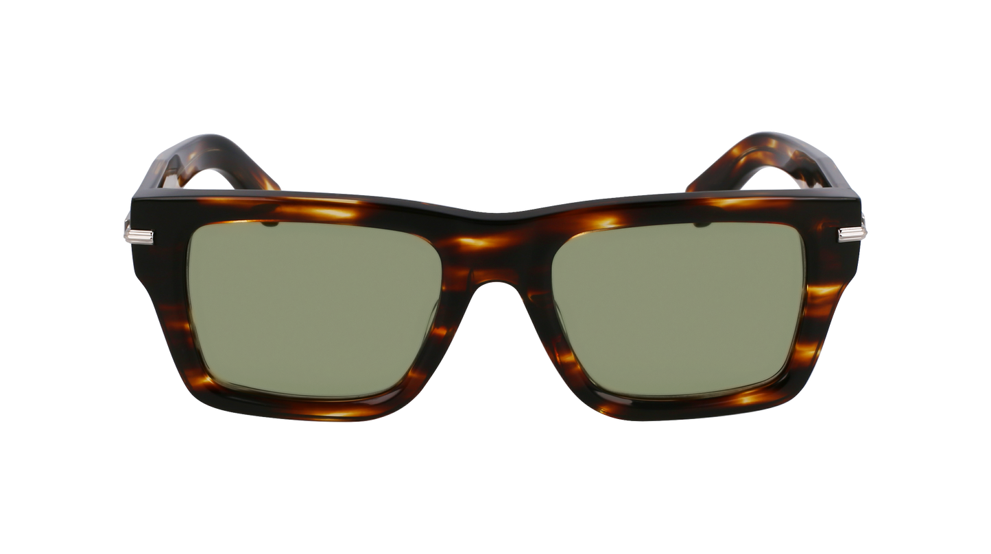 FERRAGAMO Sunglasses SF2033S 216 53