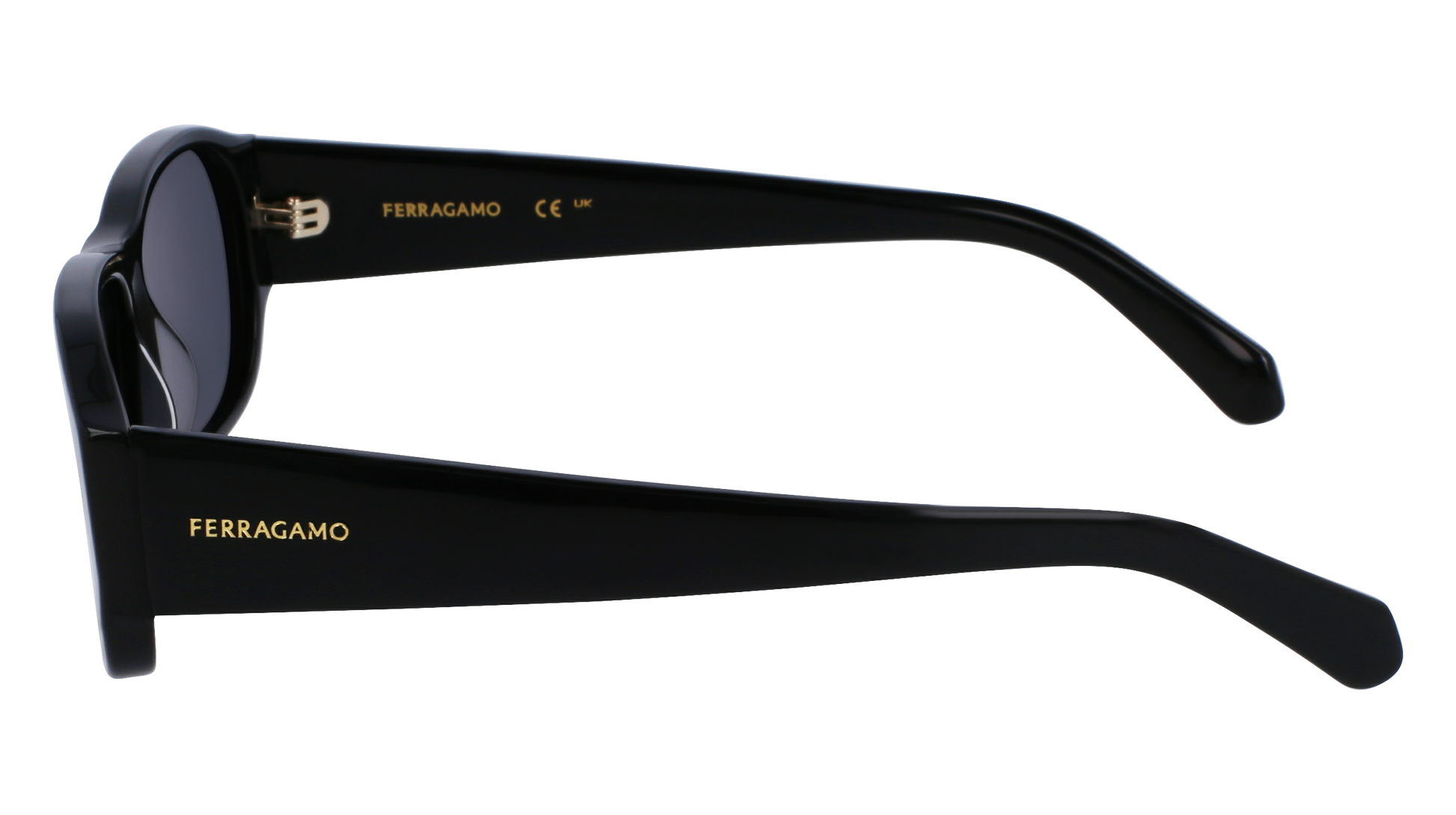 FERRAGAMO Sunglasses SF1109S 1 57