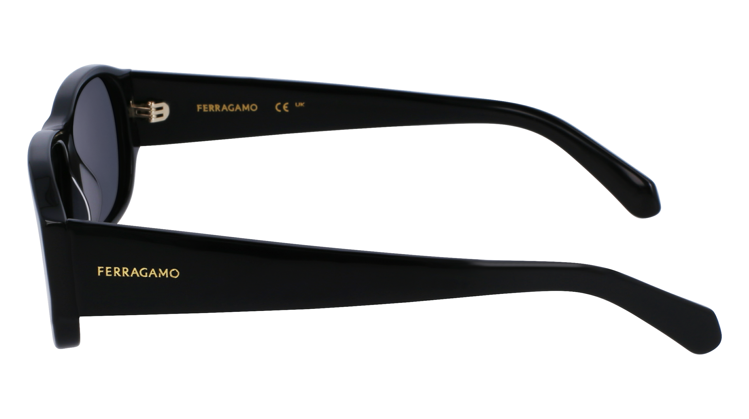 FERRAGAMO Sunglasses SF1109S 1 57