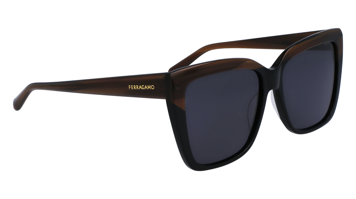 FERRAGAMO Sunglasses SF1102S 217 58