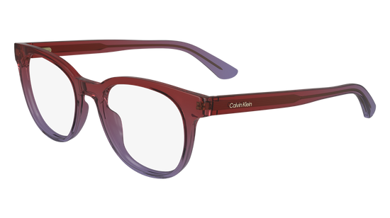 CALVIN KLEIN Eyeglasses CK24522 603 52