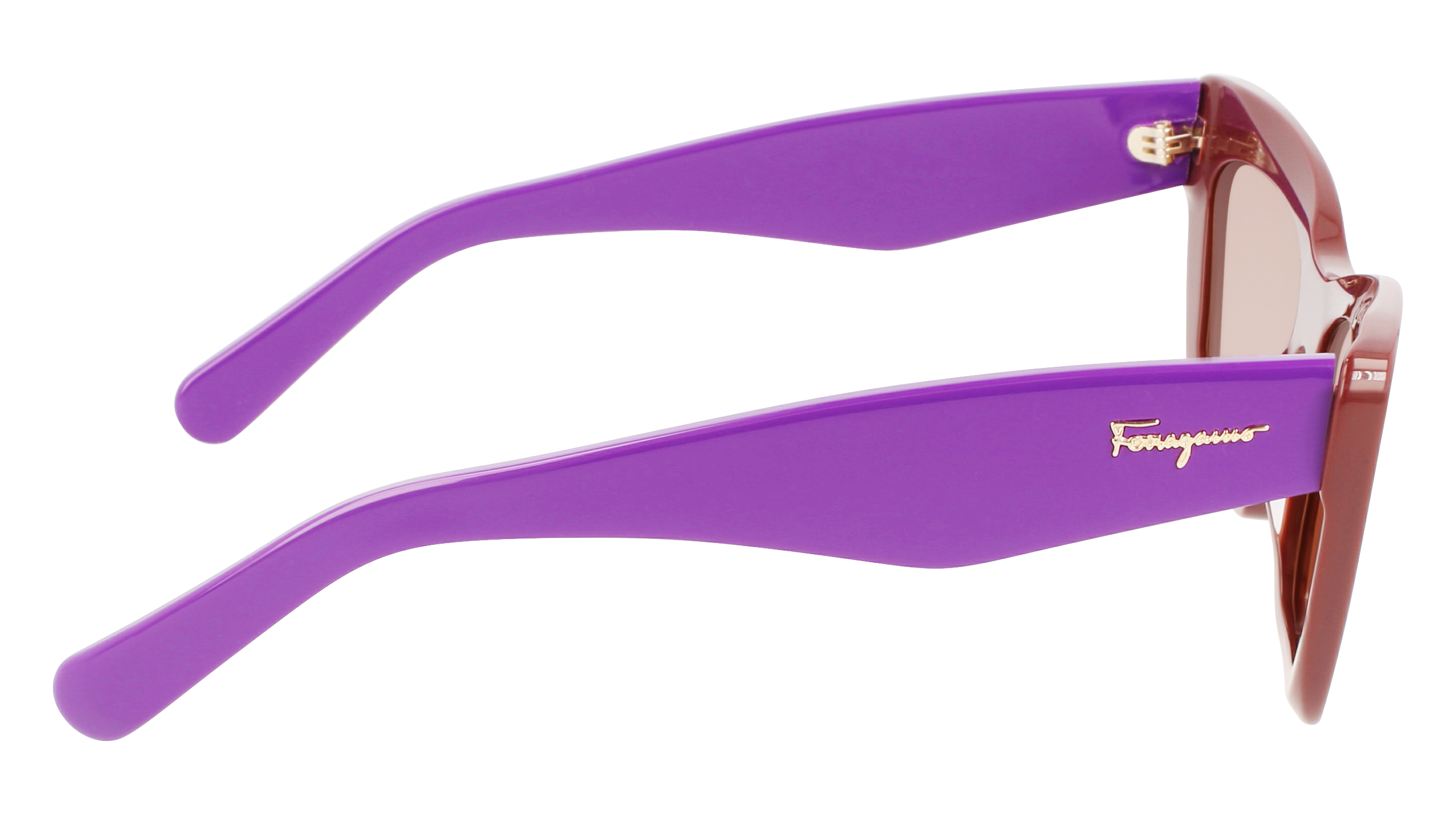 FERRAGAMO Sunglasses SF929S 209 55