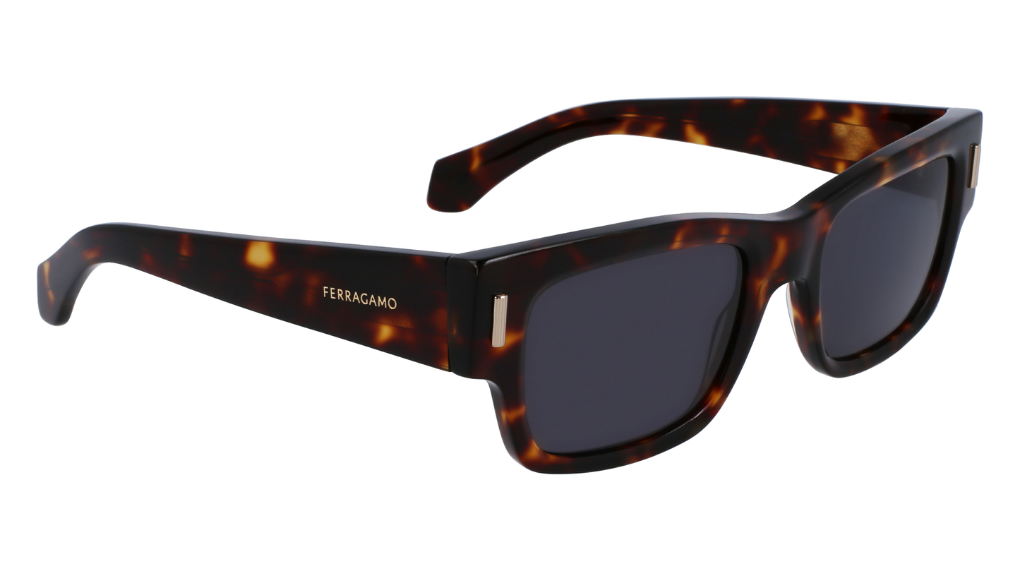 FERRAGAMO Sunglasses SF2011S 242 53